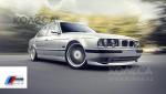 trofi_bmw